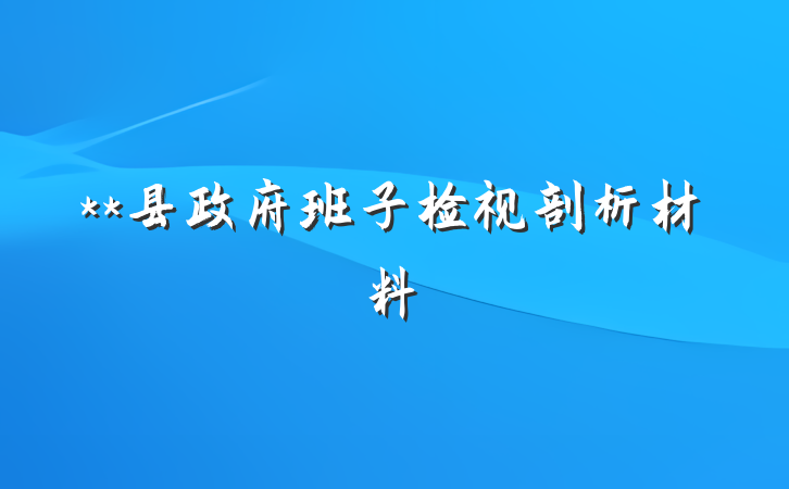 **县政府班子检视剖析材料