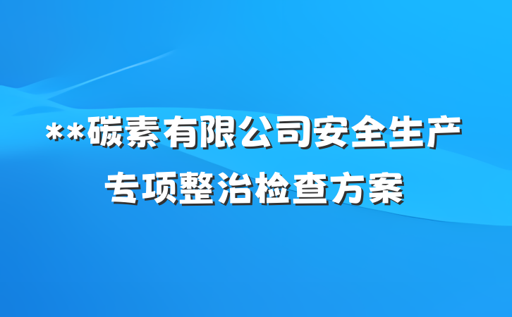 **碳素有限公司安全生产专项整治检查方案