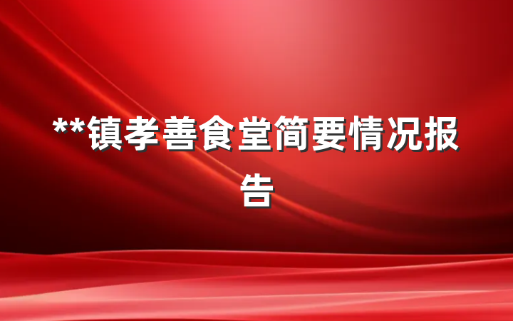 **镇孝善食堂简要情况报告