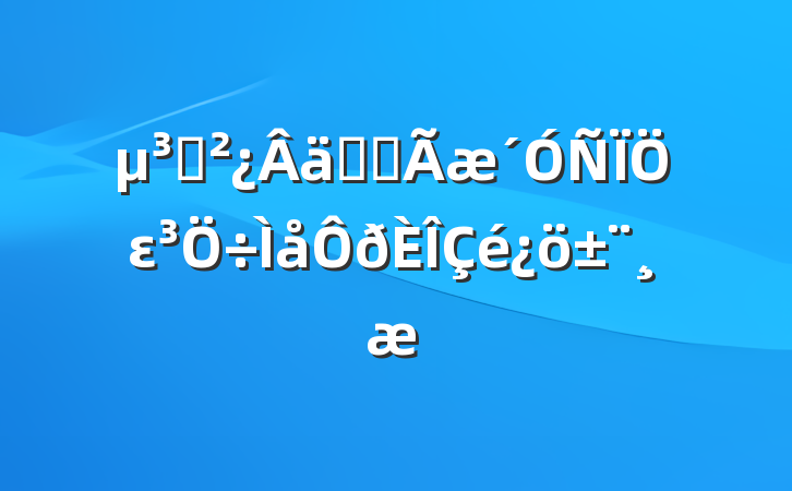 ֧ʵȫε