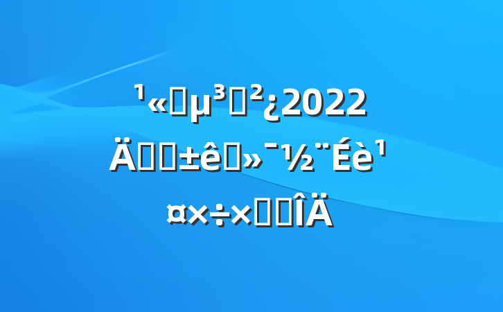 ˾֧2022꿪չ׼蹤ܽ᷶