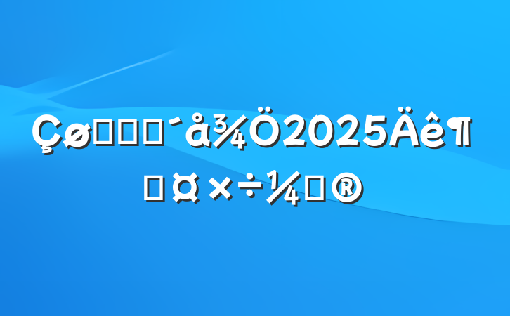 ũҵũ2025ȹƻ