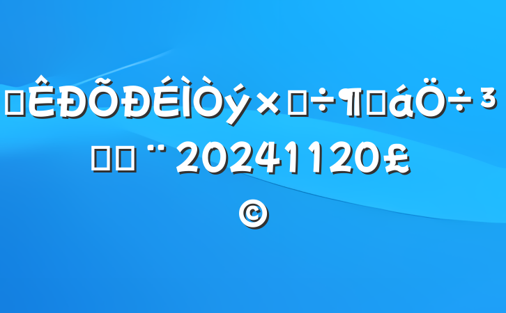 ȫʵȻִʣ20241120