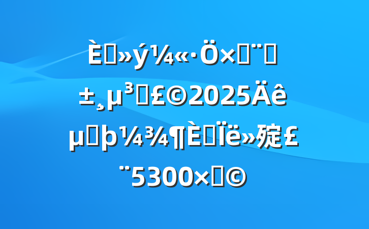 뵳ӣԤԱ2025ڶ˼㱨5300֣