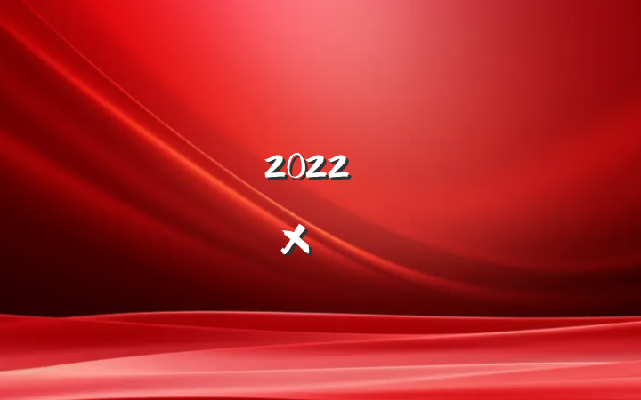 2022꿪չ»ܽ᷶ƪ