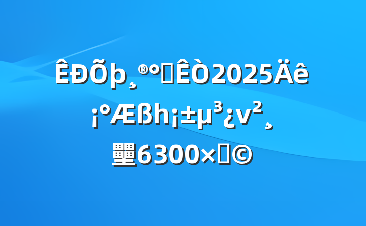 칫2025ꡰһν壨6300֣