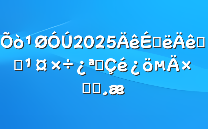 2025ϰͳսչܽᱨ