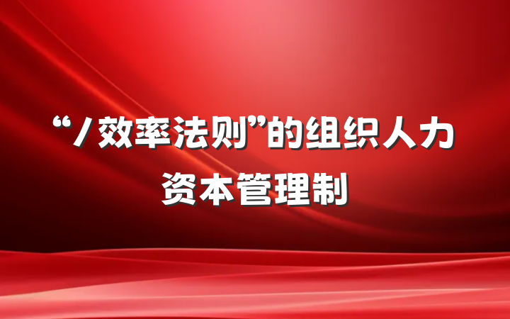 “/效率法则”的组织人力资本管理制