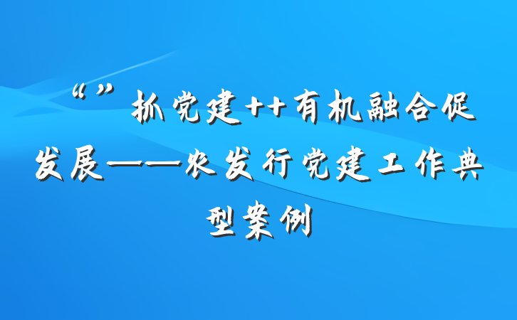 “”抓党建  有机融合促发展——农发行党建工作典型案例