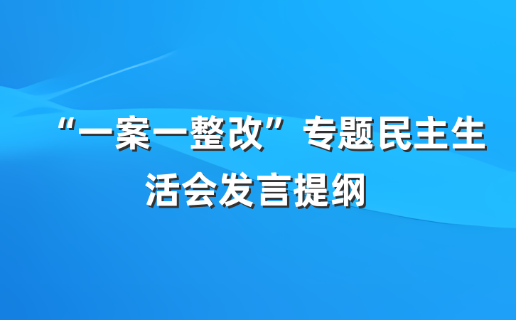 “一案一整改”专题民主生活会发言提纲