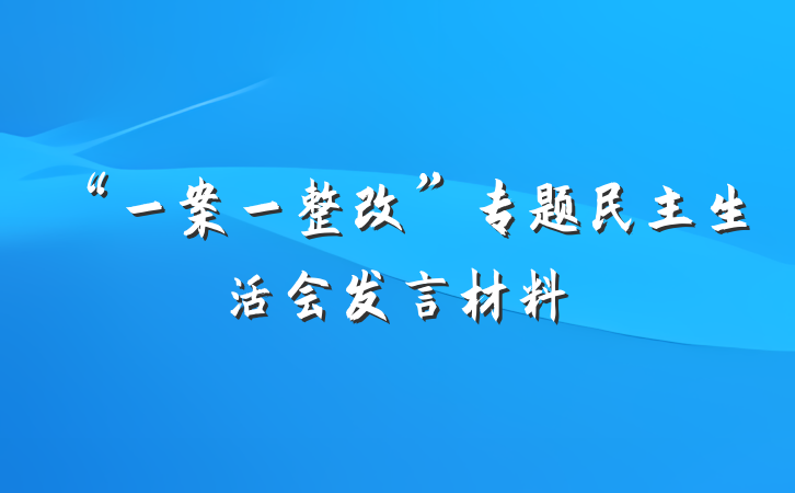 “一案一整改”专题民主生活会发言材料