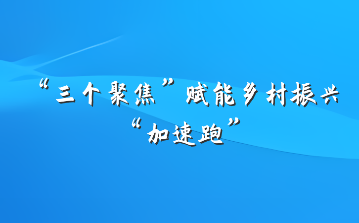 “三个聚焦”赋能乡村振兴“加速跑”