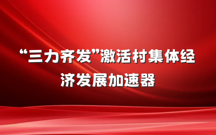 “三力齐发”激活村集体经济发展加速器
