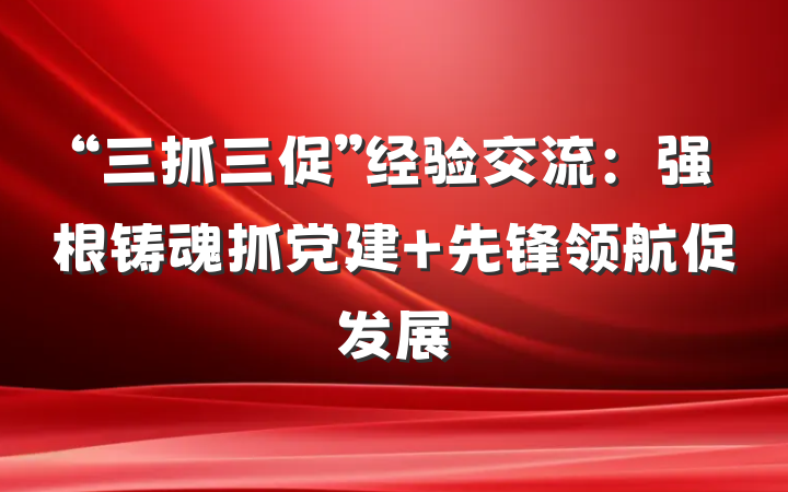 “三抓三促”经验交流：强根铸魂抓党建 先锋领航促发展