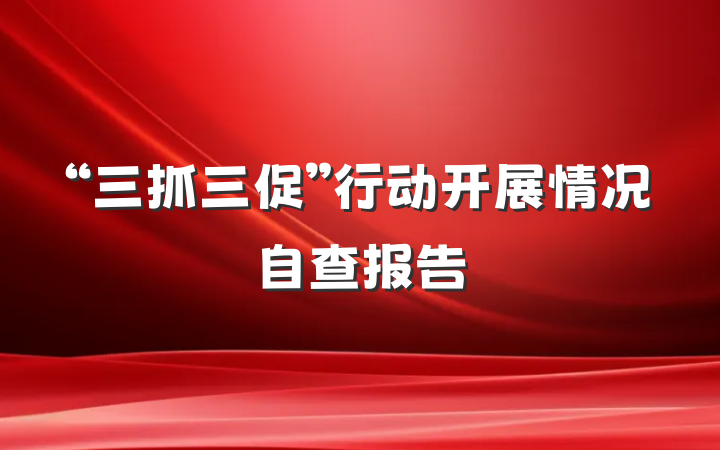 “三抓三促”行动开展情况自查报告