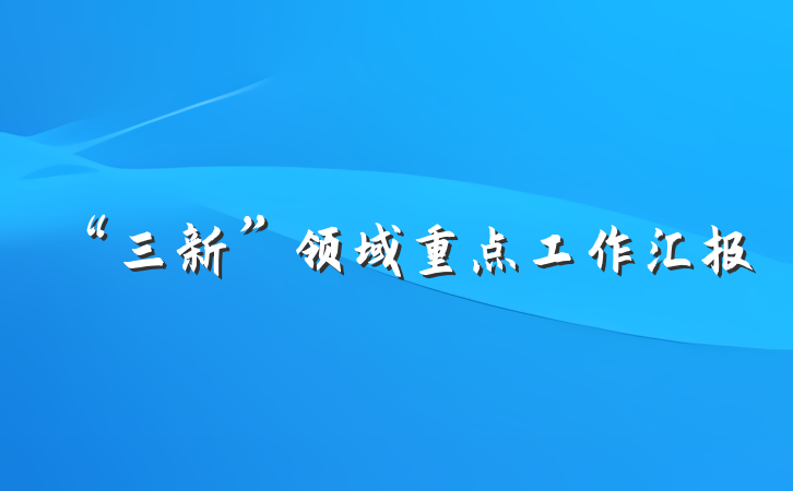 “三新”领域重点工作汇报