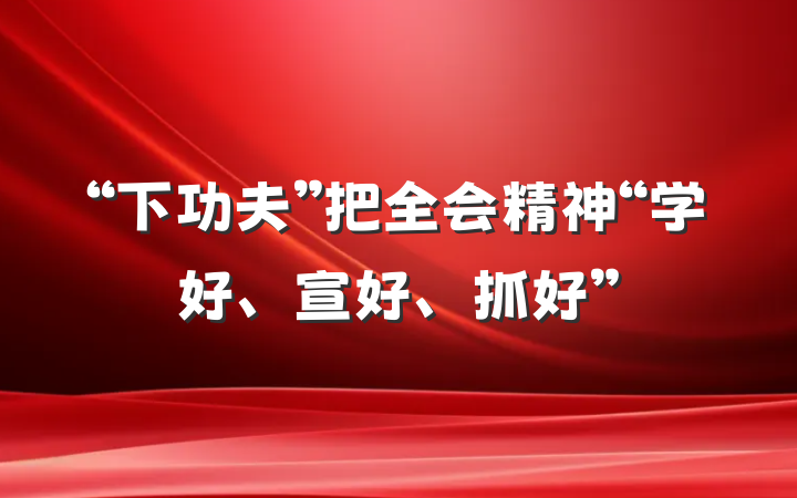 “下功夫”把全会精神“学好、宣好、抓好”