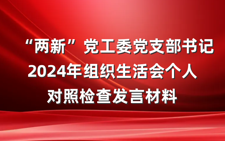 “两新”党工委党支部书记2024年组织生活会个人对照检查发言材料