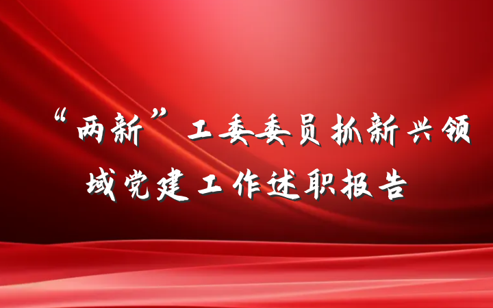 “两新”工委委员抓新兴领域党建工作述职报告