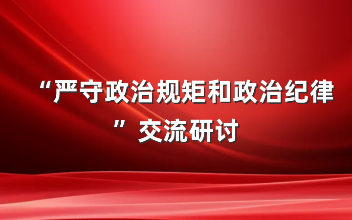 “严守政治规矩和政治纪律”交流研讨