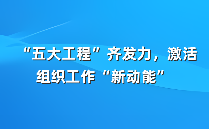 “五大工程”齐发力，激活组织工作“新动能”