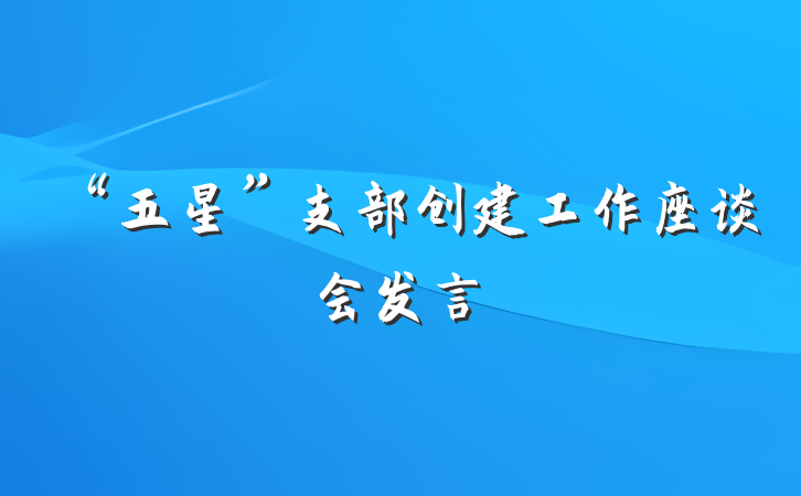“五星”支部创建工作座谈会发言
