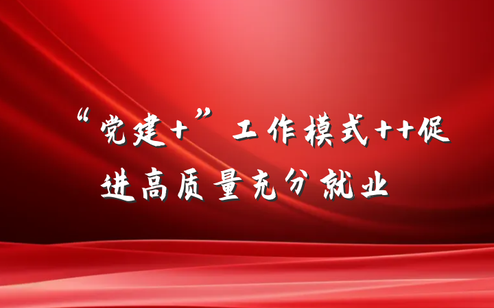 “党建+”工作模式  促进高质量充分就业