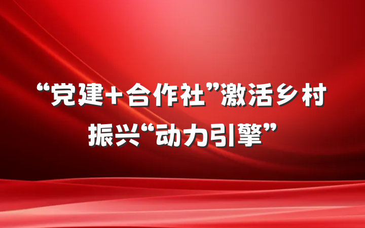 “党建+合作社”激活乡村振兴“动力引擎”
