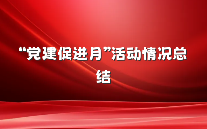 “党建促进月”活动情况总结