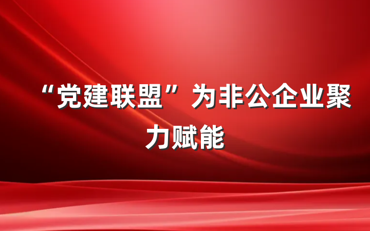“党建联盟”为非公企业聚力赋能