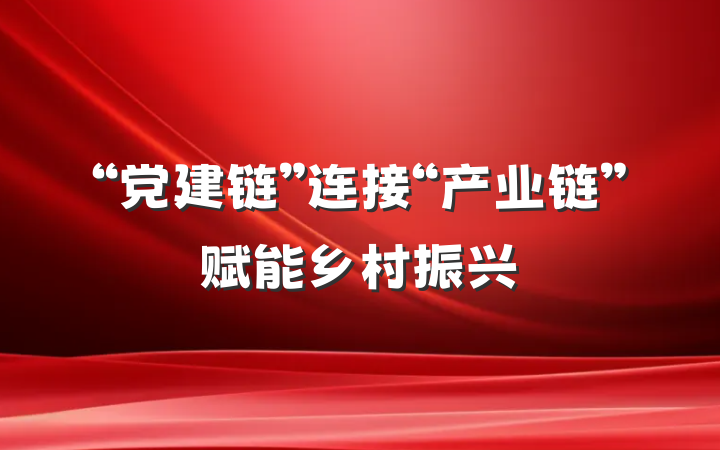 “党建链”连接“产业链”赋能乡村振兴
