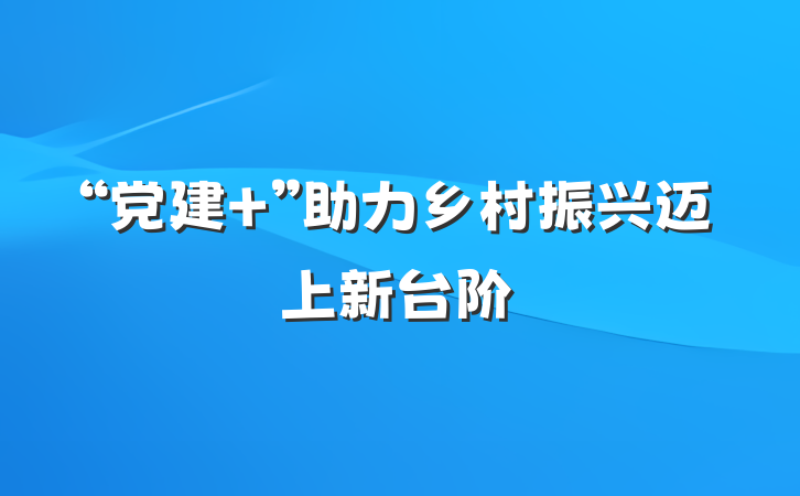 “党建 ”助力乡村振兴迈上新台阶