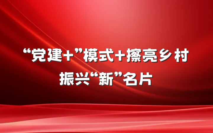 “党建 ”模式 擦亮乡村振兴“新”名片