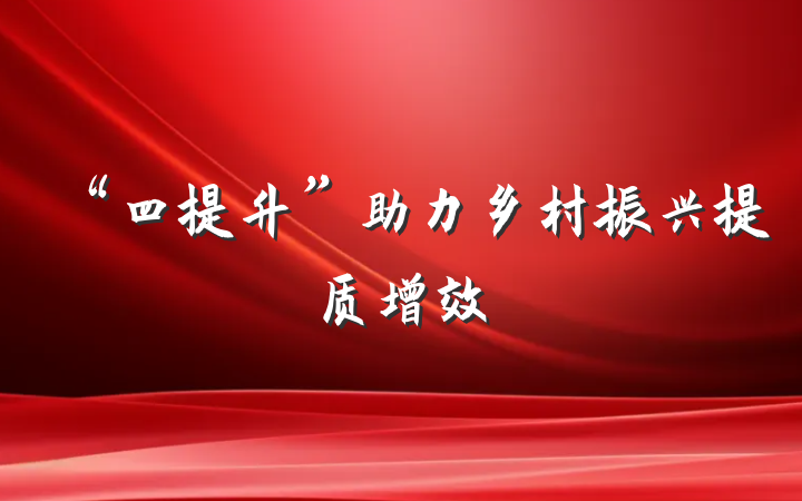 “四提升”助力乡村振兴提质增效
