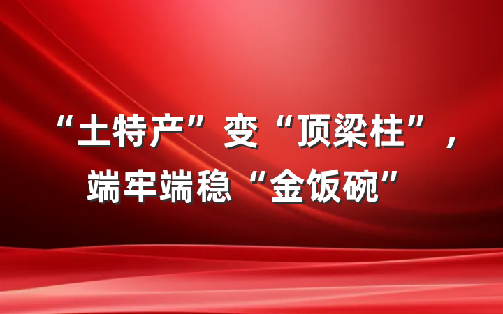 “土特产”变“顶梁柱”，端牢端稳“金饭碗”