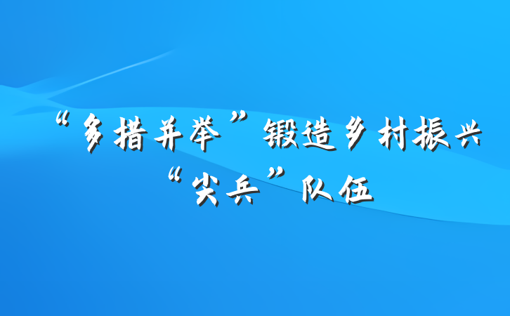 “多措并举”锻造乡村振兴“尖兵”队伍