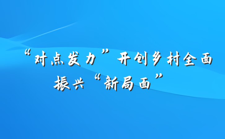 “对点发力”开创乡村全面振兴“新局面”