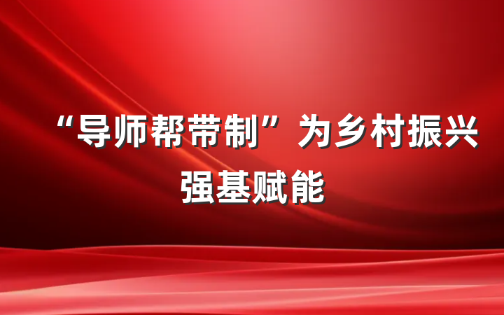 “导师帮带制”为乡村振兴强基赋能