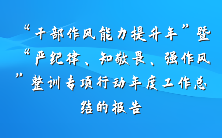 “干部作风能力提升年”暨“严纪律、知敬畏、强作风”整训专项行动年度工作总结的报告