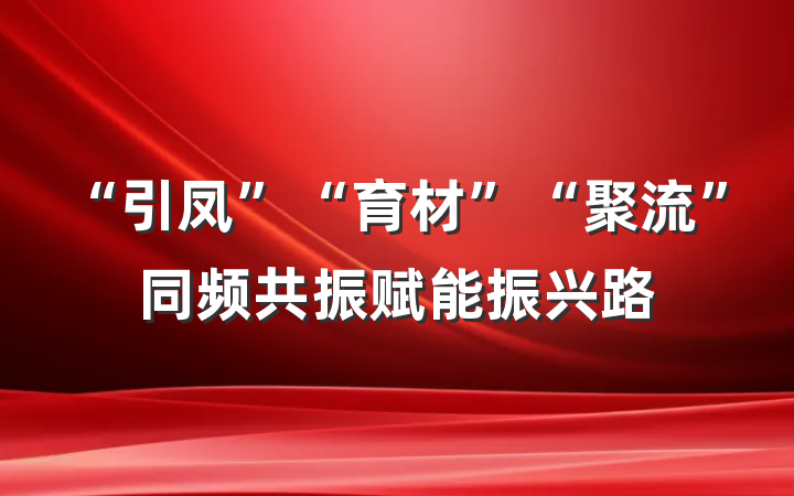 “引凤”“育材”“聚流”同频共振赋能振兴路