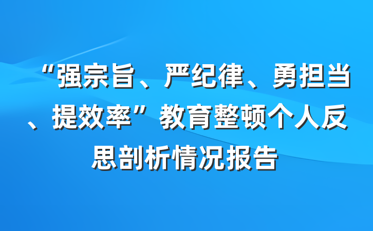 “强宗旨、严纪律、勇担当、提效率”教育整顿个人反思剖析情况报告