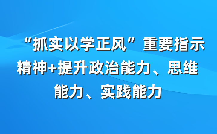 “抓实以学正风”重要指示精神 提升政治能力、思维能力、实践能力