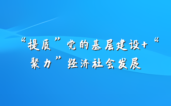 “提质”党的基层建设 “聚力”经济社会发展