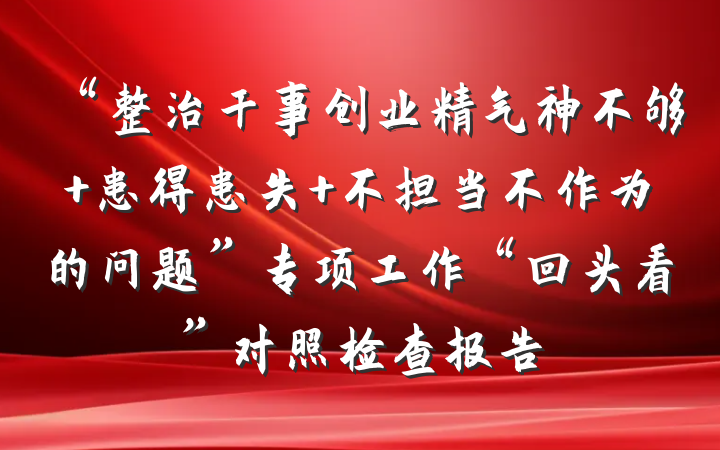 “整治干事创业精气神不够 患得患失 不担当不作为的问题”专项工作“回头看”对照检查报告
