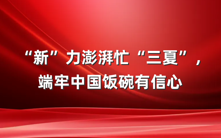 “新”力澎湃忙“三夏”，端牢中国饭碗有信心