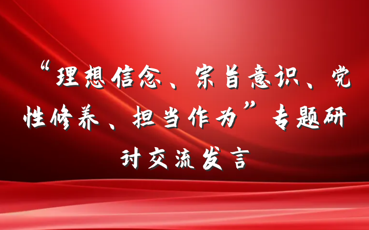 “理想信念、宗旨意识、党性修养、担当作为”专题研讨交流发言