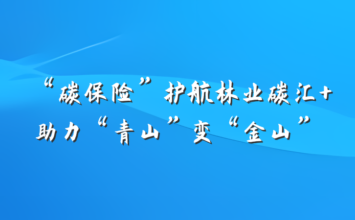 “碳保险”护航林业碳汇 助力“青山”变“金山”