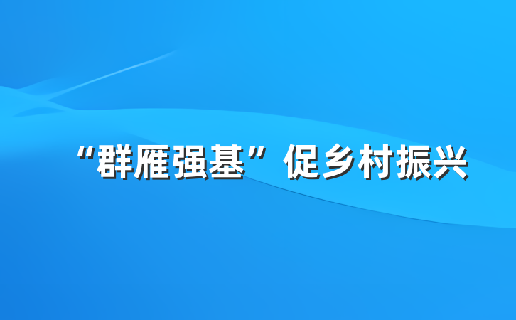 “群雁强基”促乡村振兴