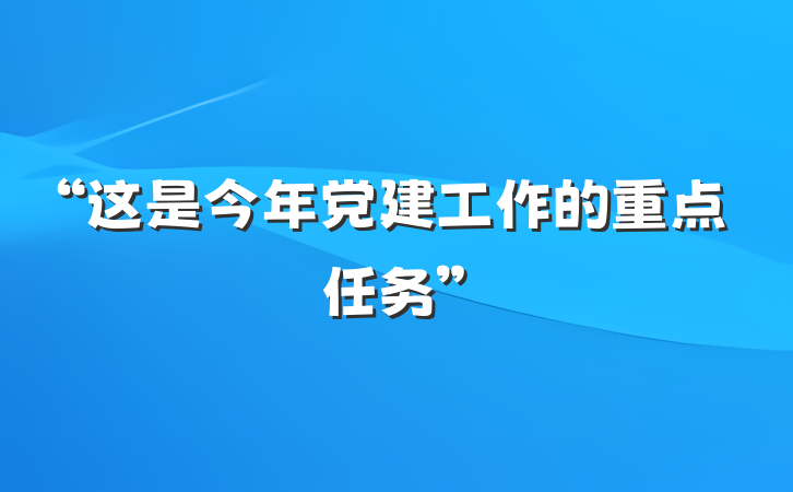 “这是今年党建工作的重点任务”