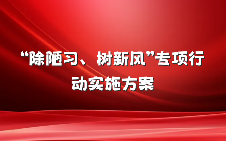 “除陋习、树新风”专项行动实施方案